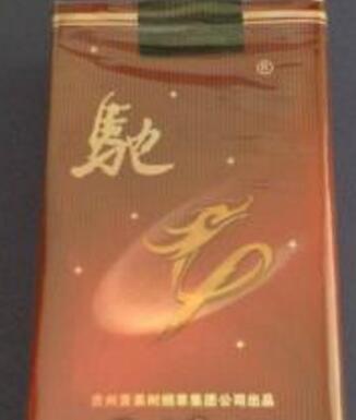 国外烟斗推荐品牌大全|国外的烟斗